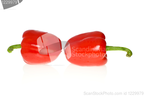 Image of Two red sweet peppers