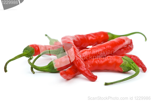 Image of Pile of red chili peppers