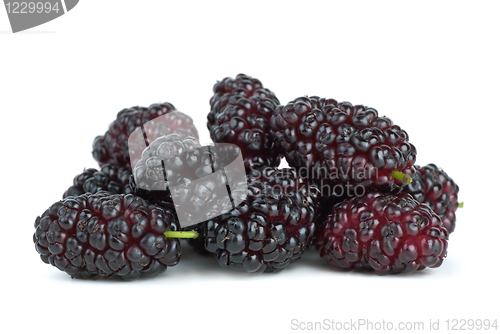 Image of Few mulberries
