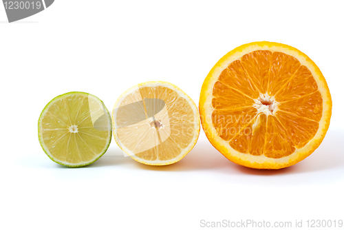 Image of Halves of orange, lemon and lime