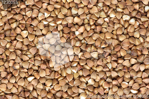 Image of Background of dried buckwheat grains