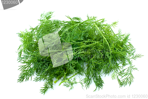 Image of Some fresh green dill