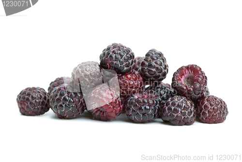 Image of Blackberries