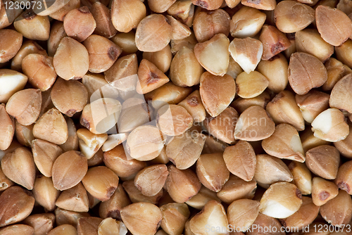 Image of Background of dried buckwheat grains