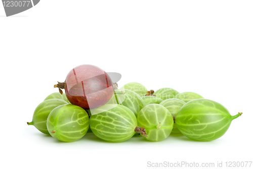 Image of Pile of green gooseberries and purple on the top