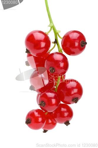 Image of Some redcurrant berries