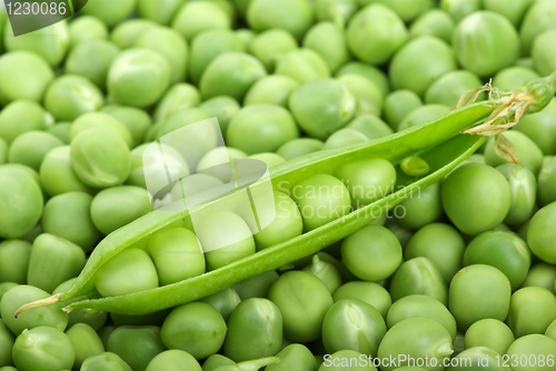 Image of Peas and cracked pod