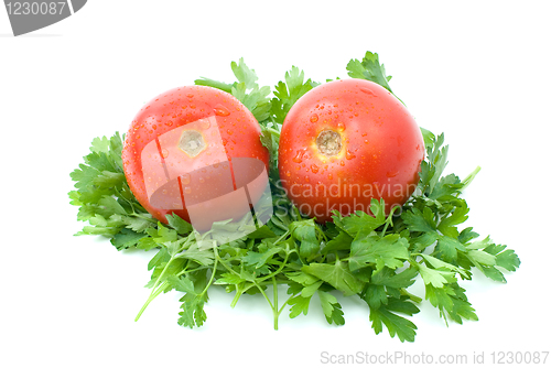 Image of Two ripe fresh tomatoes over some parsley