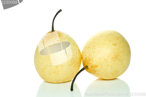 Image of Two yellow china pears