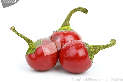 Image of Three round red hot peppers