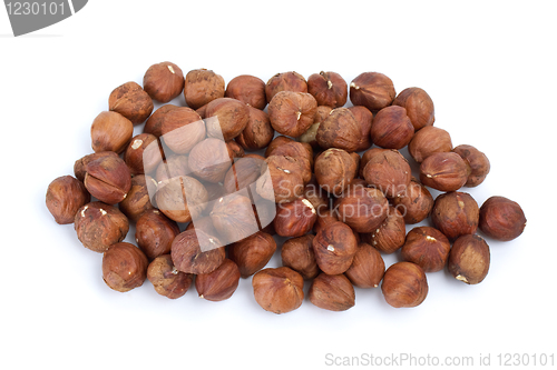 Image of Small pile of hazelnuts