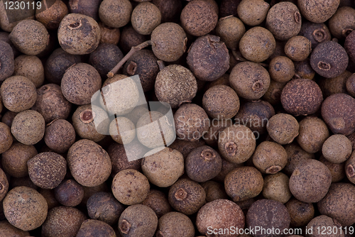 Image of Spices: background of allspice