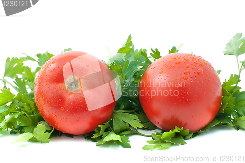 Image of Two ripe tomatoes with drops of water and some parsley