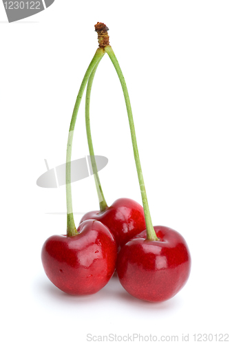 Image of Three ripe red cherries