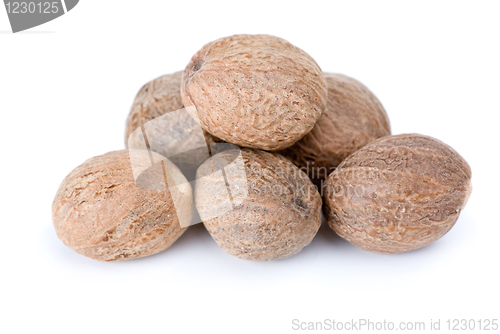 Image of Close-up shot of few nutmegs