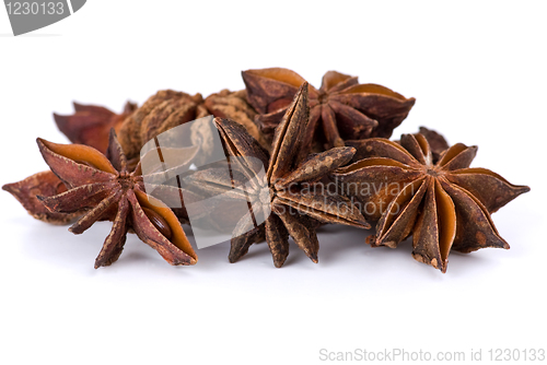 Image of Spices: close-up shot of dried-up anise-tree inflorescences macro