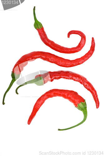 Image of Four crooked red hot chili peppers