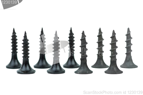 Image of Few standing metal and wood screws