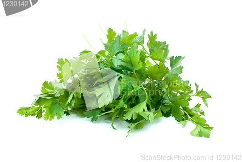 Image of Some parsley