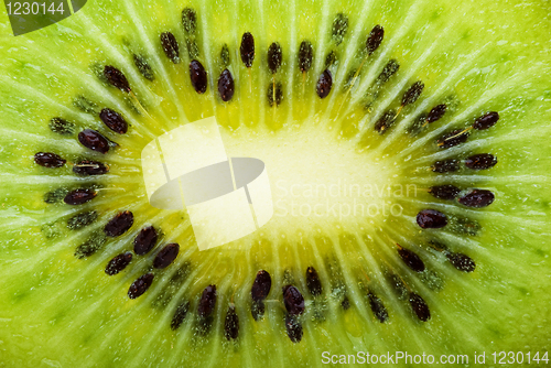 Image of Kiwi slice closeup