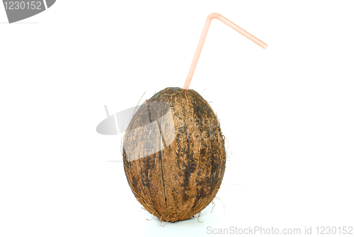 Image of Single coconut with straw