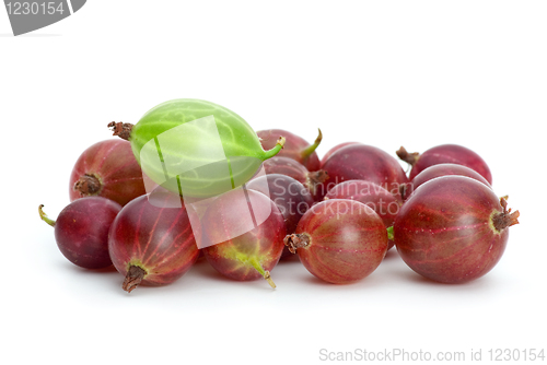 Image of Pile of purple gooseberries and green on the top