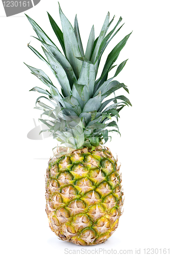 Image of Whole pineapple