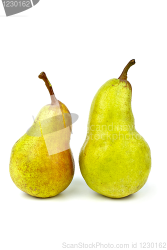Image of Two green pears