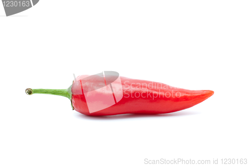 Image of SIngle red chili pepper