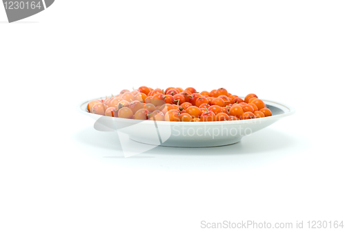 Image of Porcelain saucer filled with sea buckthorn berries