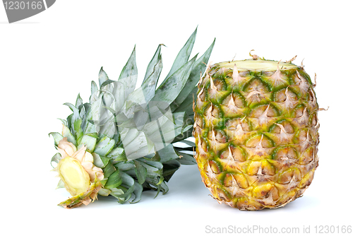 Image of Pineapple and sliced-out leaves
