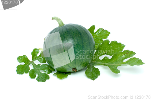 Image of Small watermelon