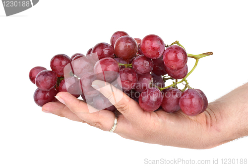 Image of Bunch of pink grapes in palm