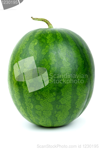 Image of Stripy watermelon