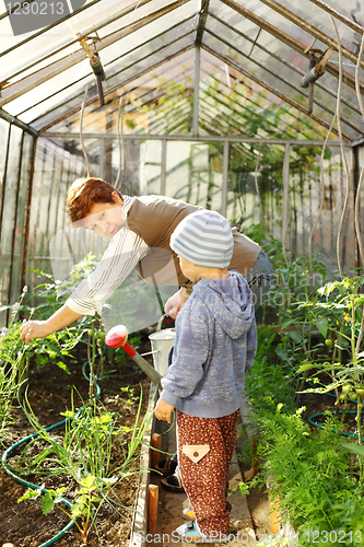 Image of Gardening with granny