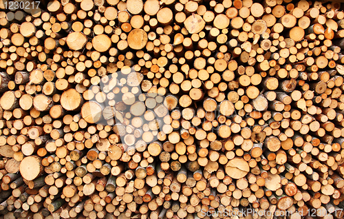 Image of Pile of wood