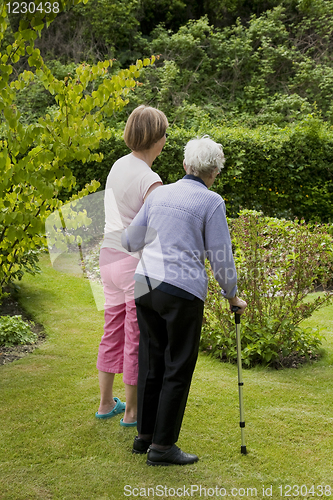 Image of Seniors in the garden