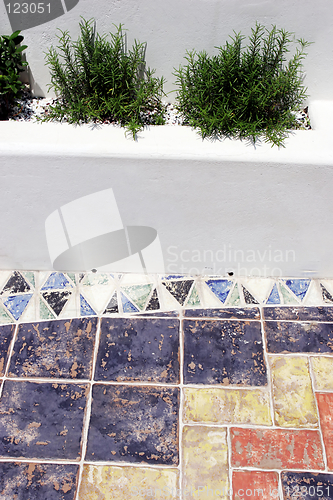 Image of Garden