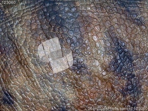 Image of Dinosaur brown skin texture