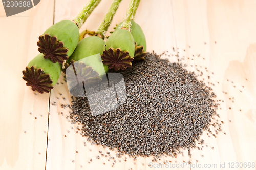 Image of Poppy seeds and poppy heads 