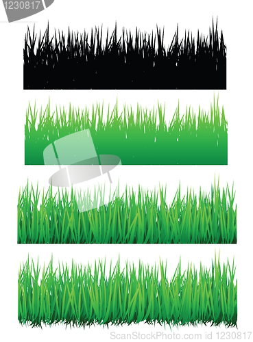 Image of seamless grass