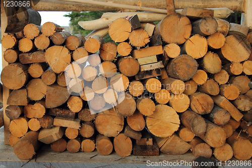 Image of wood pile