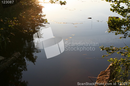 Image of trees reflecting in water