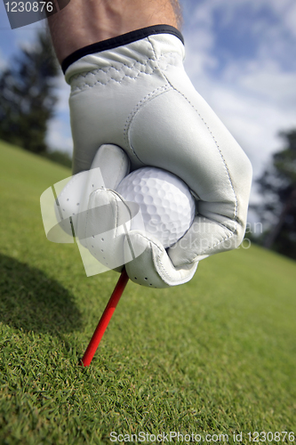 Image of Placing golf ball on a  tee