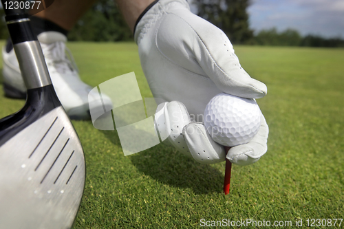 Image of Placing golf ball on a tee 