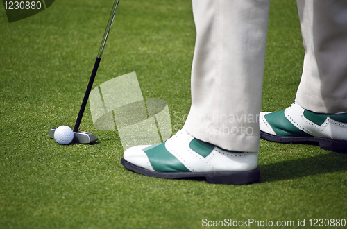 Image of Golfer putting