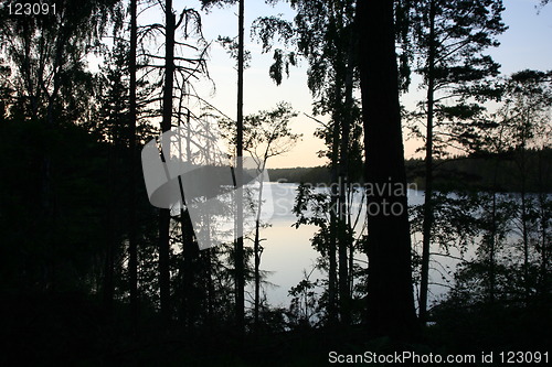 Image of glade