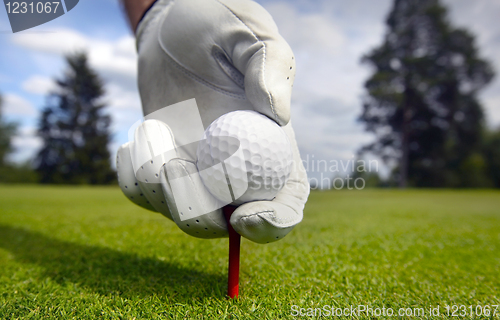 Image of Placing golf ball on a tee