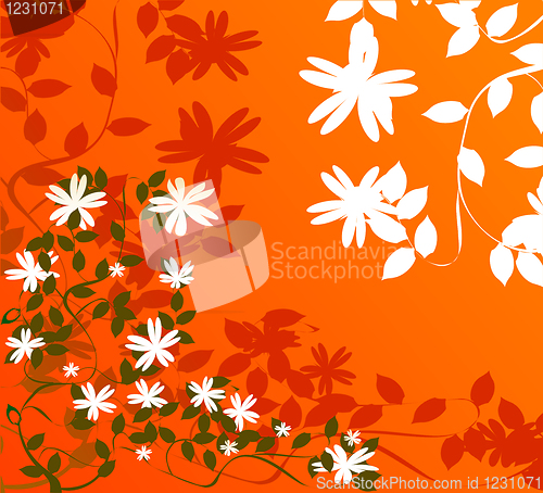 Image of Floral wallpaper