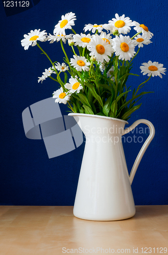 Image of Oxeye Daisies in the Pitcher